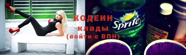 эйфоретик Вяземский