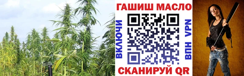 купить  цена  Зима  ТГК жижа 