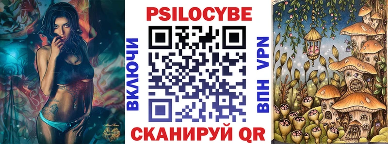 Псилоцибиновые грибы прущие грибы  Зима 