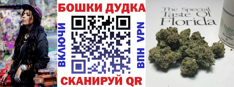 МАРИХУАНА Amnesia  купить  цена  Зима 